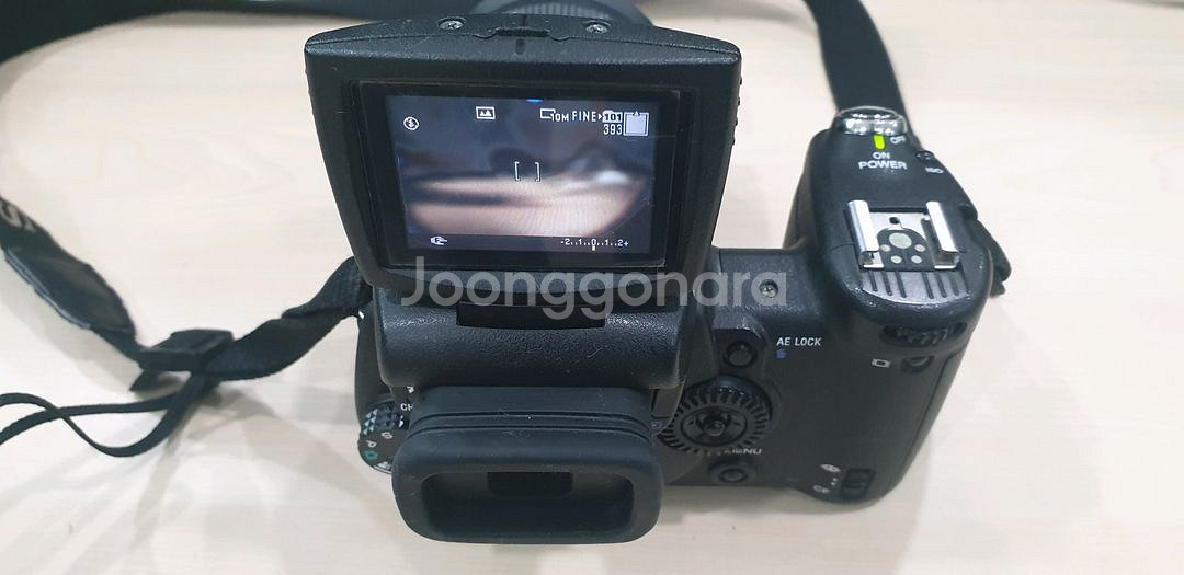 소니 카메라 DSC-R1--4
