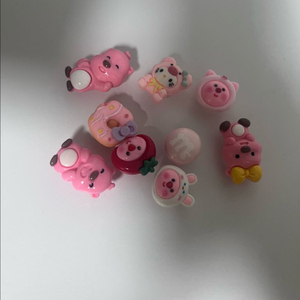 지비츠 무료나눔