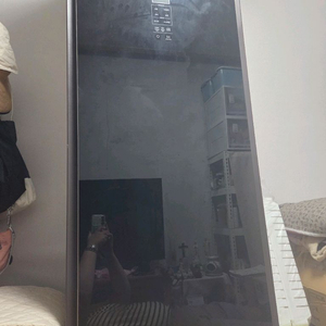 삼성 에어드레서 DF10T9301KG
