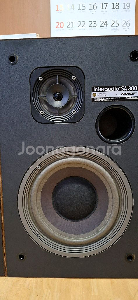 BOSE SA 300 interaction--2