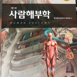 시람해부학 5판 현문사