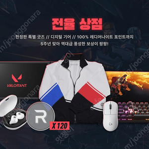 발로란트 제트 바람막이
