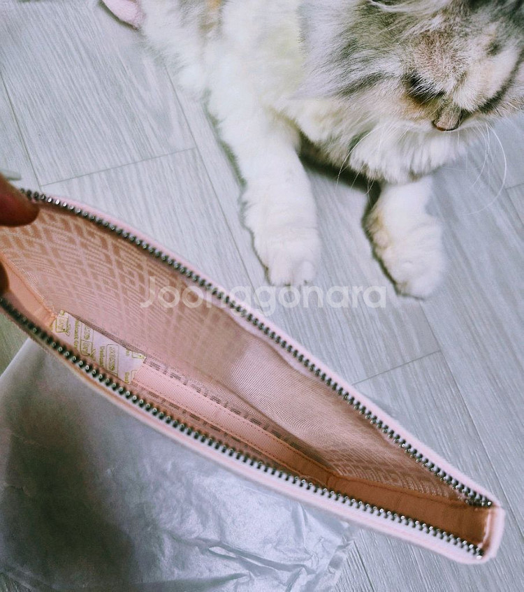 지방시 핑크 파우치(새상품)ㅡ2--3