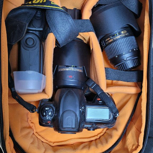 정품 니콘 D3S, 105, 24-70, SB910