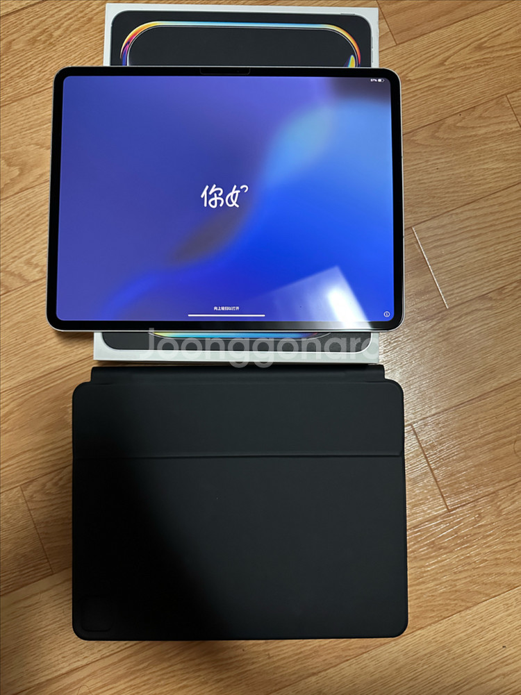 아이패드프로 m4 13인치 256기가 실버 셀룰러--0