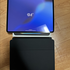 아이패드프로 m4 13인치 256기가 실버 셀룰러