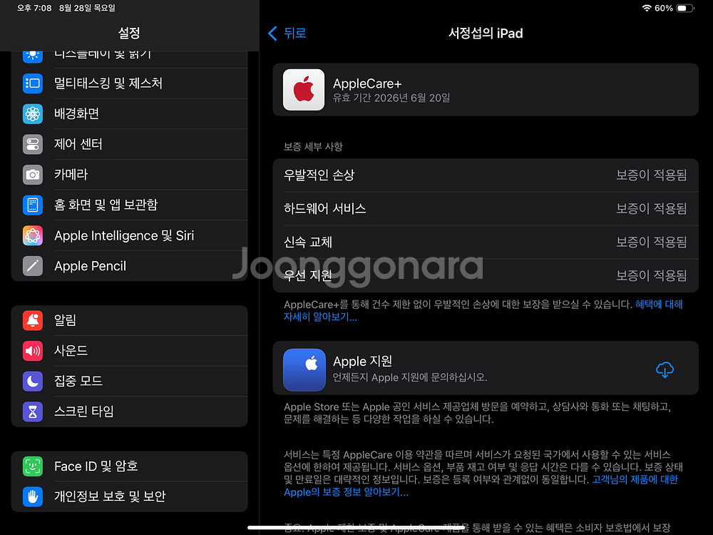 아이패드프로 m4 13인치 256기가 실버 셀룰러--1