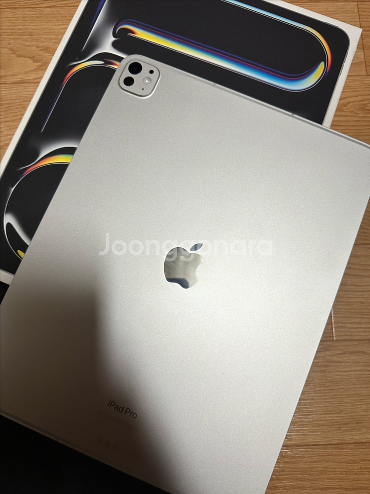 아이패드프로 m4 13인치 256기가 실버 셀룰러--4