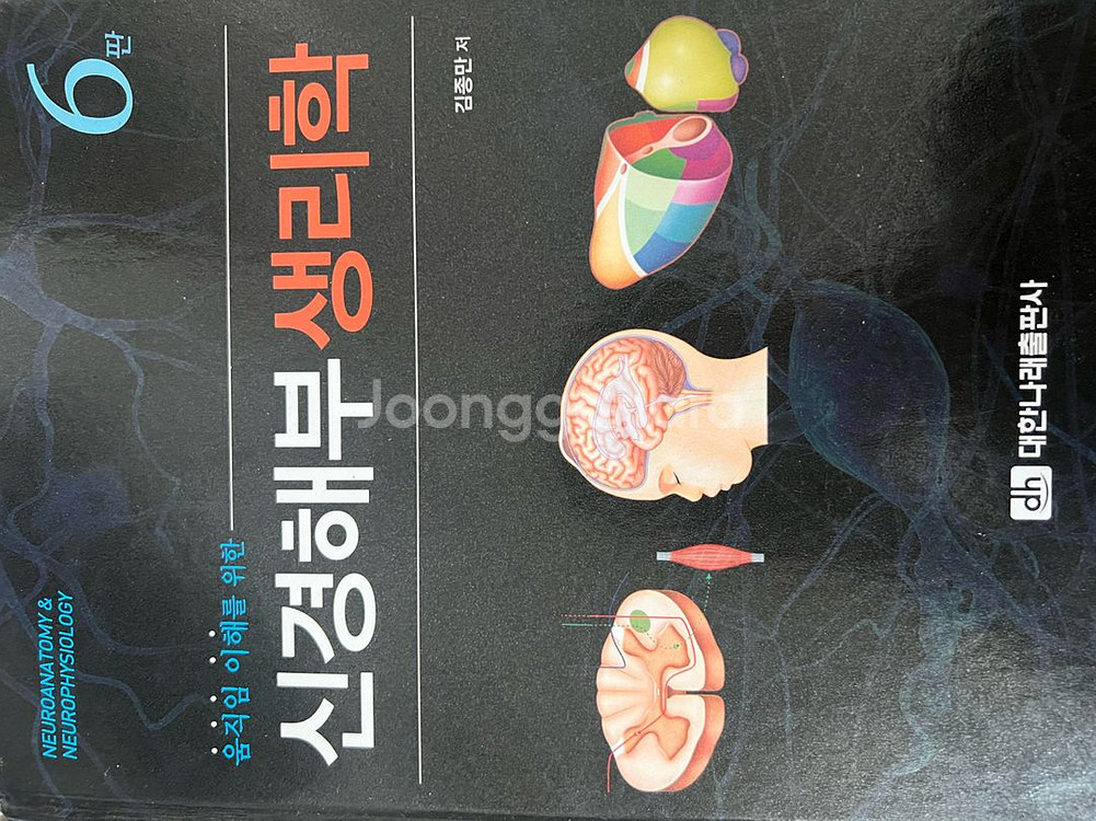 신경해부 생리학 6판 대한 나래--0