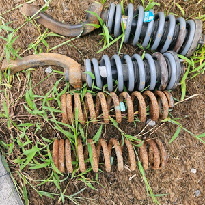 빅풋 먼로 2인치업