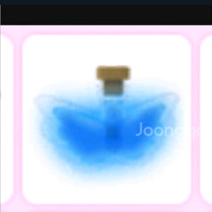 입양하세요 날물