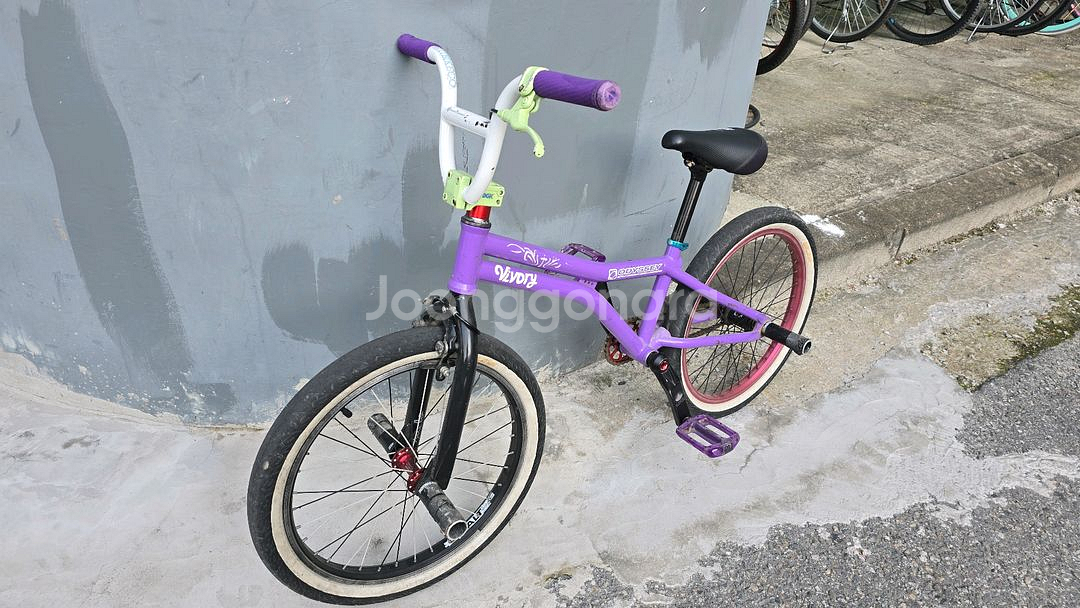 BMX 플랫랜드 풀커스텀--1