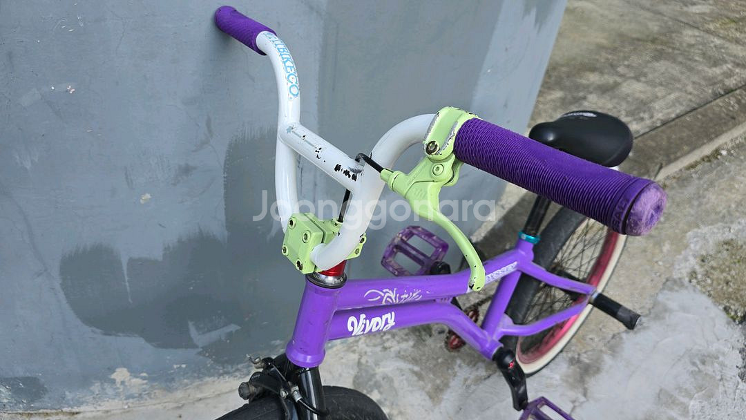 BMX 플랫랜드 풀커스텀--3