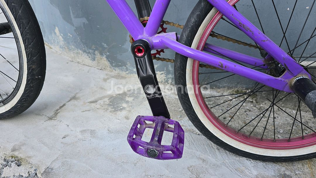 BMX 플랫랜드 풀커스텀--5