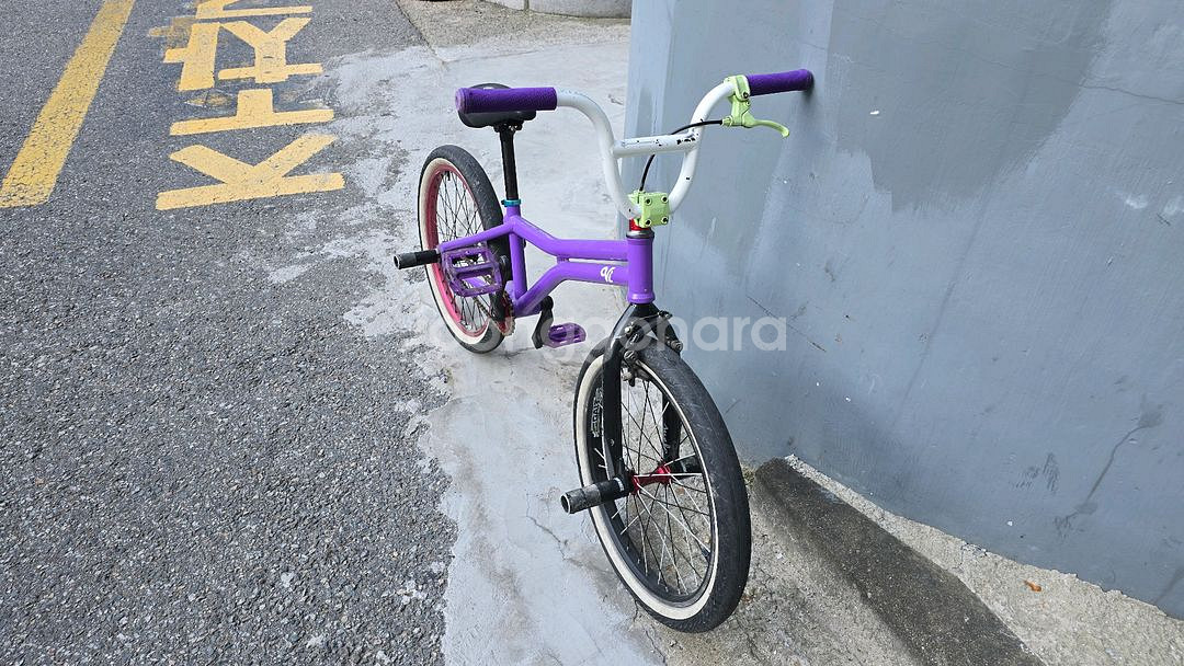 BMX 플랫랜드 풀커스텀--8