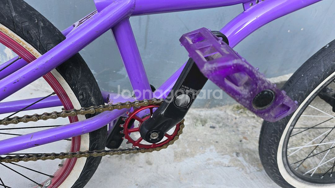 BMX 플랫랜드 풀커스텀--6