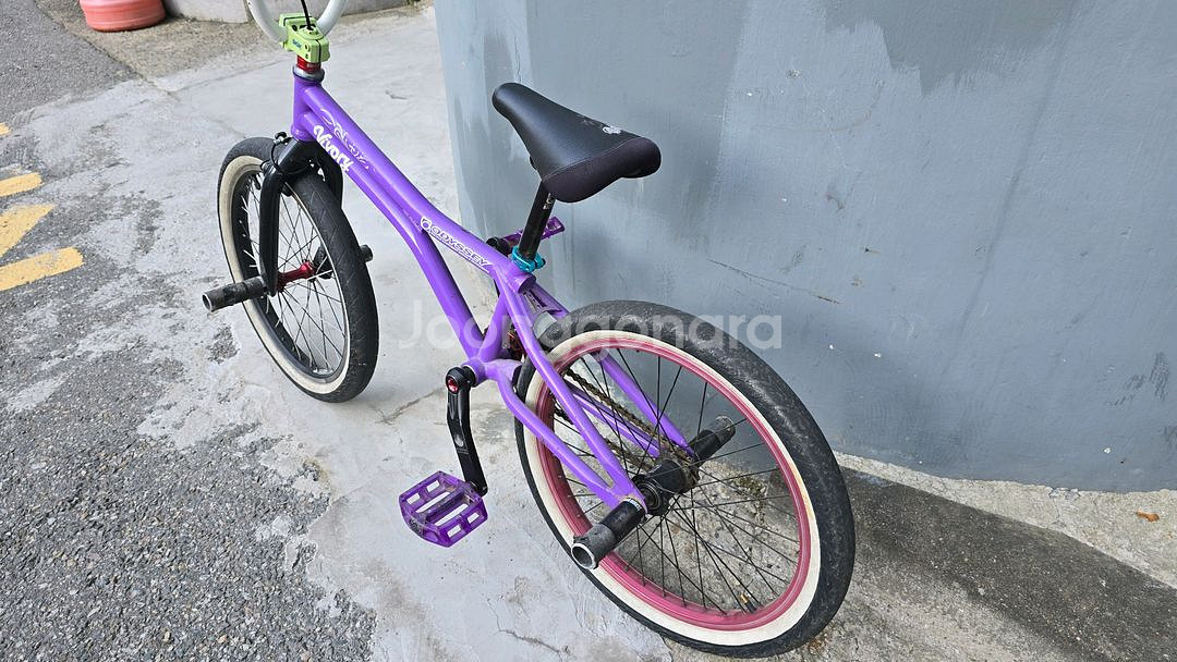 BMX 플랫랜드 풀커스텀--4