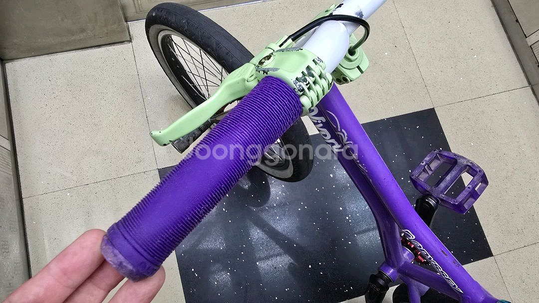BMX 플랫랜드 풀커스텀--9