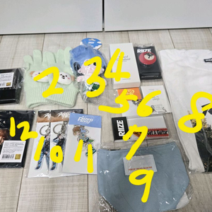 라이즈 앤톤 굿즈들