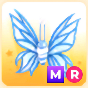 입양하세요 MR 2024 나비