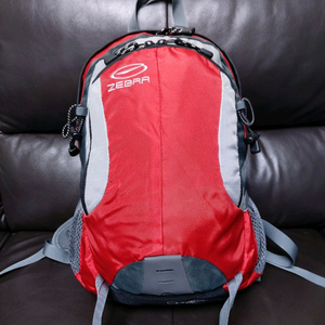 ZEBRA & Monte 미니 백팩(15L)