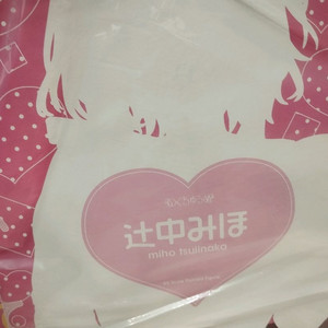 녹턴 츠지나카 미호 다니마루 작가 피규어