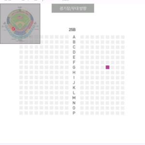 nc ssg 3루 덕아웃 상단석 단석