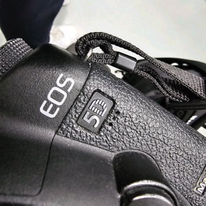 EOS 5D MARK II 오두막 급처