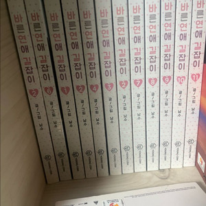 바른연애 길잡이 전권판매