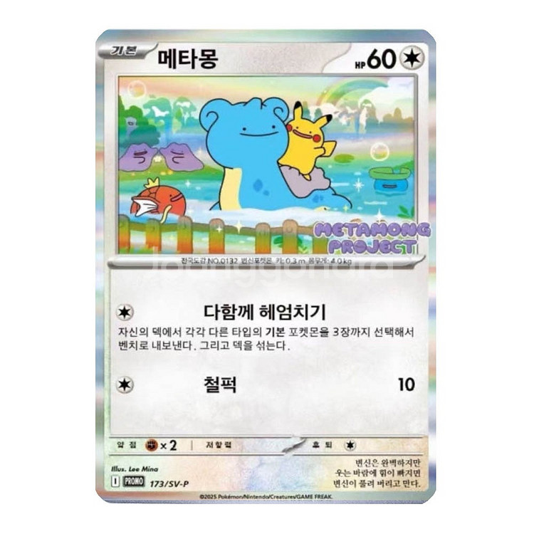 포켓몬 메타몽 프로젝트 카드--1