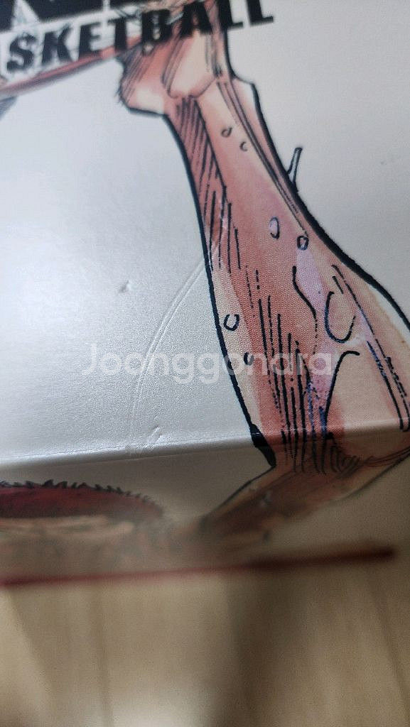 슬램덩크x몰텐 농구공 팝니다--3