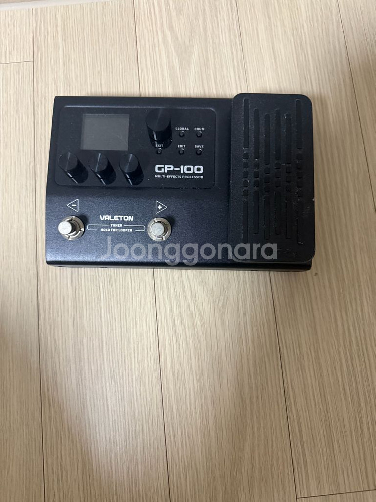 베일톤 gp100--0