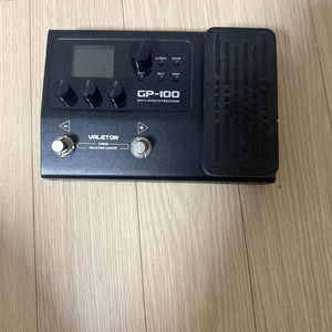 베일톤 gp100