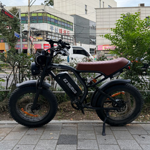 BS슬릭 48V 20Ah 자토바이, 전기자전거 급처