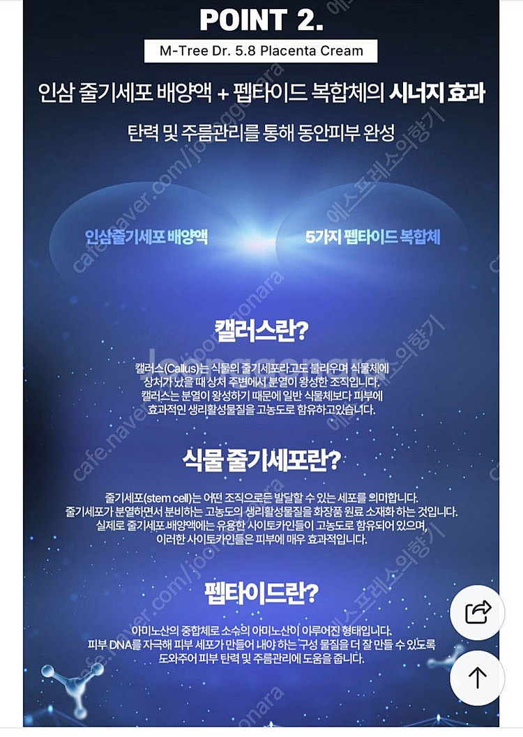 새상품 양태반크림--5