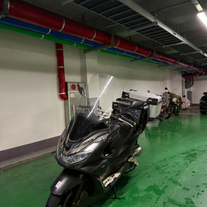 Pcx 125 (21년식)