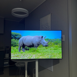 삼성 oled 42sf90