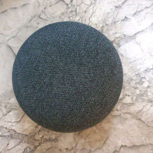 Google Nest Mini (2세대)