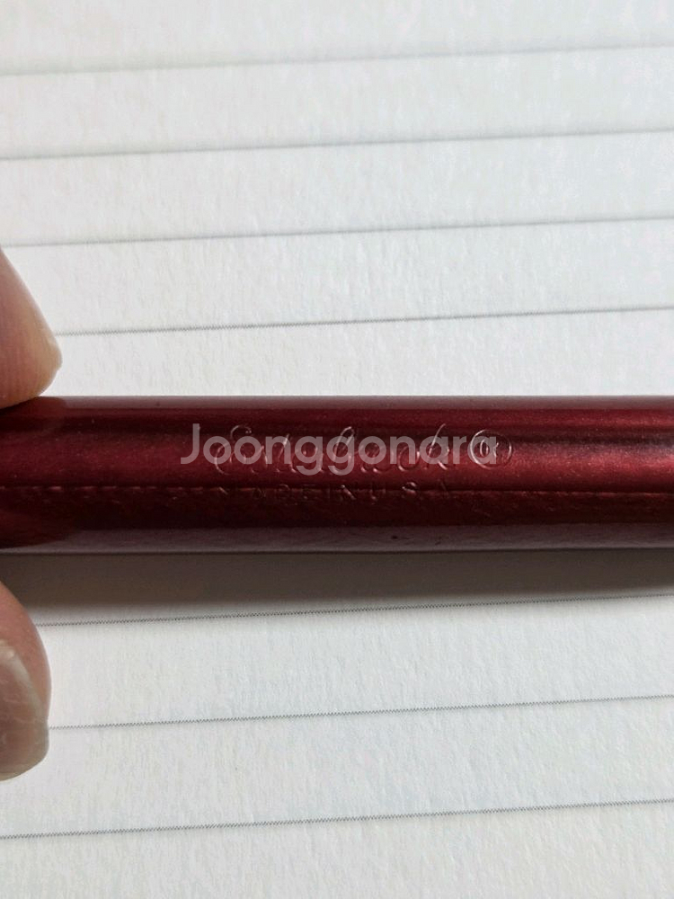 에스터브룩 SJ모델 oblique fine nib 판매--3
