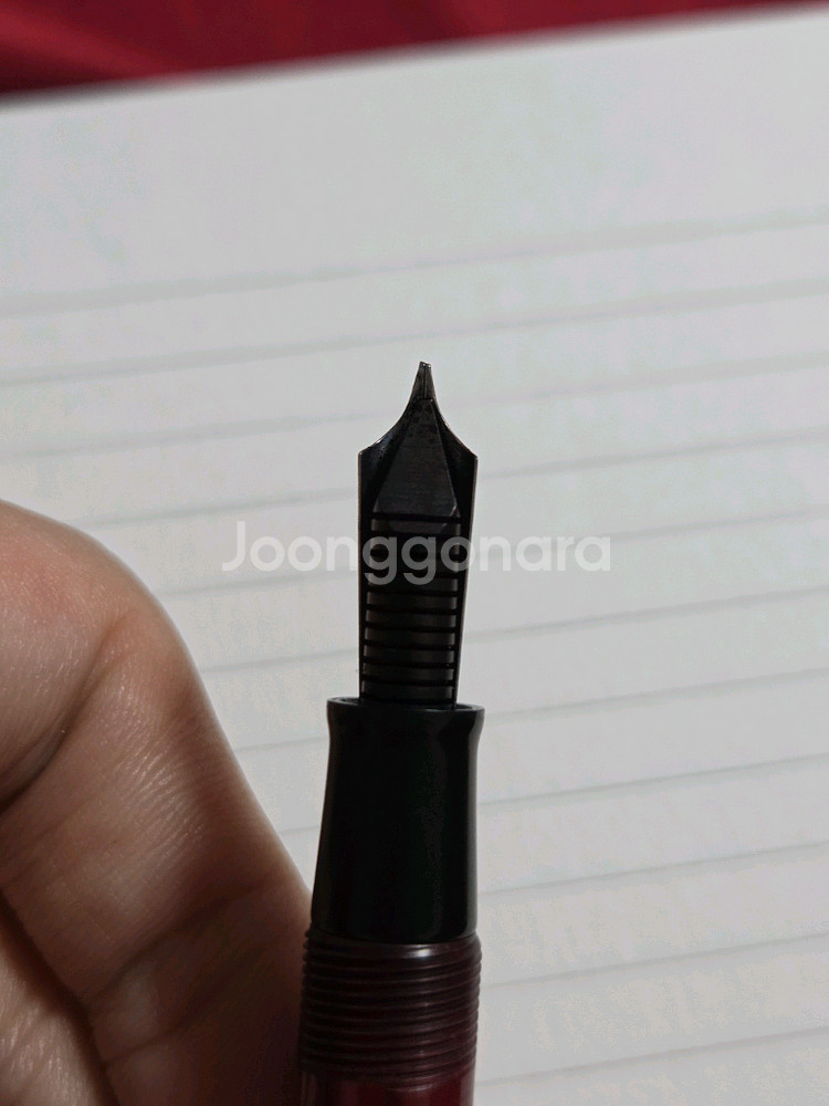 에스터브룩 SJ모델 oblique fine nib 판매--5