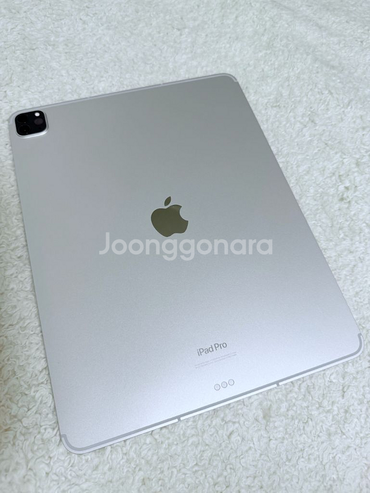 아이패드 프로6 12.9 256gb 셀룰러(애플케어)--0
