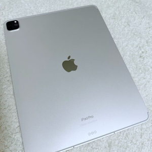 아이패드 프로6 12.9 256gb 셀룰러(애플케어)