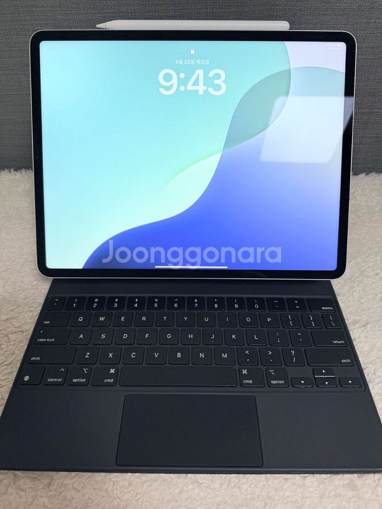 아이패드 프로6 12.9 256gb 셀룰러(애플케어)--1