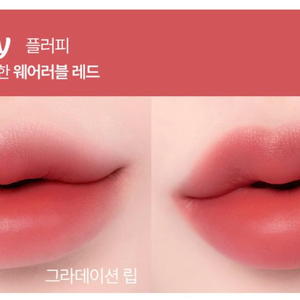 투에이엔 플러피 블러 틴트 플러피 새제품