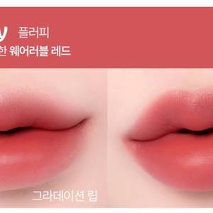 투에이엔 플러피 블러 틴트 플러피 새제품
