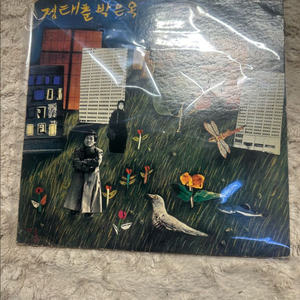정태춘 박은옥 - (무진) 새 노래 희귀 LP 판매