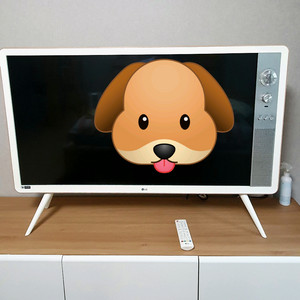 lg 레트로tv (42인치)