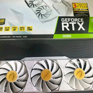 RTX 3080 조텍 급처