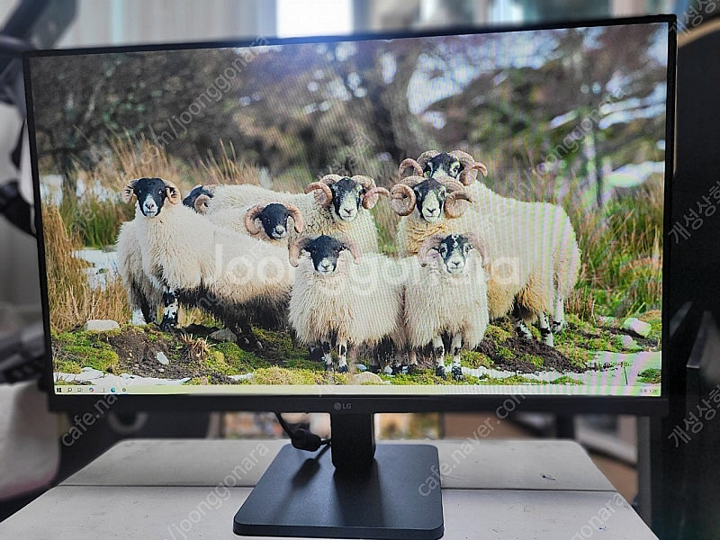 LG(24MR400)IPS 24인치모니터--0