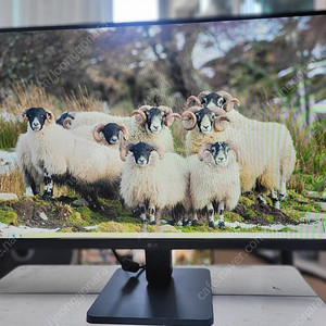 LG(24MR400)IPS 24인치모니터